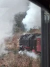 20250301_122949.webp