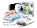 brücke2.webp