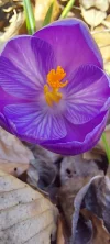 1000035874.webp