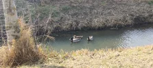 IMG_20250308_114203.webp