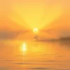 1741505022235.webp