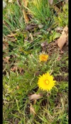 IMG_20250310_085330_HDR-1-1.webp