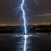 1741779342348.webp