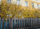 20250314_114943.webp
