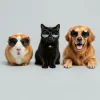 1742033197280.webp