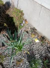 20250319_130340.webp