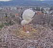 Kirchzarten_2025-03-21_Ei-Nummer-1__01.webp