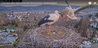 Kirchzarten_2025-03-21_Ei-Nummer-1_03.webp