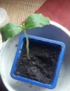 20250323_120121.webp