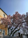 20250326_113430.webp
