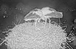 Kirchzarten_2025-03-27_05Uhr03-54_Ulla-prüft-Temperatur_Schichtwechsel.webp