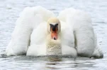 1000000466.webp