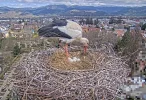 Kirchzarten_2025-04-01_11Uhr05_Ulla-und-ihre-5Eier.webp