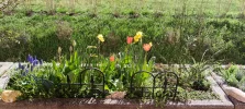 IMG_20250403_100248.webp