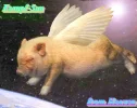 X_Tier_Schweine_Kampfsau-logo.webp X_Tier_Schweine_Kampfsau-logo.webp