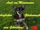Geburtstagsgruß-MM_0322b.webp Geburtstagsgruß-MM_0322b.webp