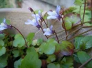 DSCN9372.webp