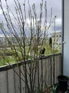 20250415_170114.webp
