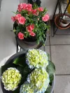20250415_165950.webp