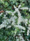 20250416_101124.webp