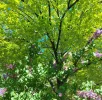 20250416_100710.webp