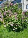 20250419_122512.webp