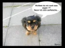 1745757253714.webp