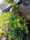 20250429_125959.webp