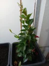 20250429_130128.webp