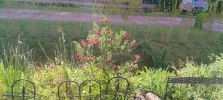 IMG_20250429_082004.webp