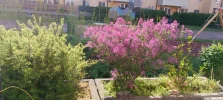 IMG_20250429_082205.webp