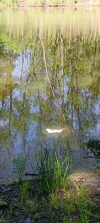 IMG_20250427_102938.webp