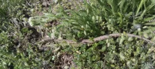 IMG-20250422-WA0005.webp