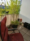 20250430_185705.webp