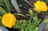 20250408_091453.webp