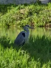 20250430_165851.webp