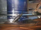 PICT0018.webp