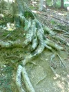Bild 1862.webp