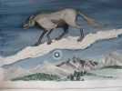 2 Wolf (19.2.-20.3.)IMG_0151.webp