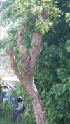 20140608_170929.webp