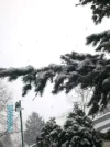 30.Dezember 070.webp
