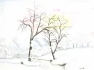 Birke im Winter.webp