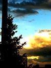 18.5 059.webp