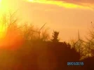 6.1 033.webp