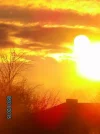 6.1 034.webp