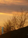 6.1 036.webp