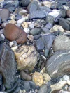 Bild 1493.webp