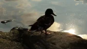 20140626_182553.webp