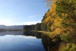 025.webp