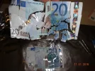 Bild 005.webp